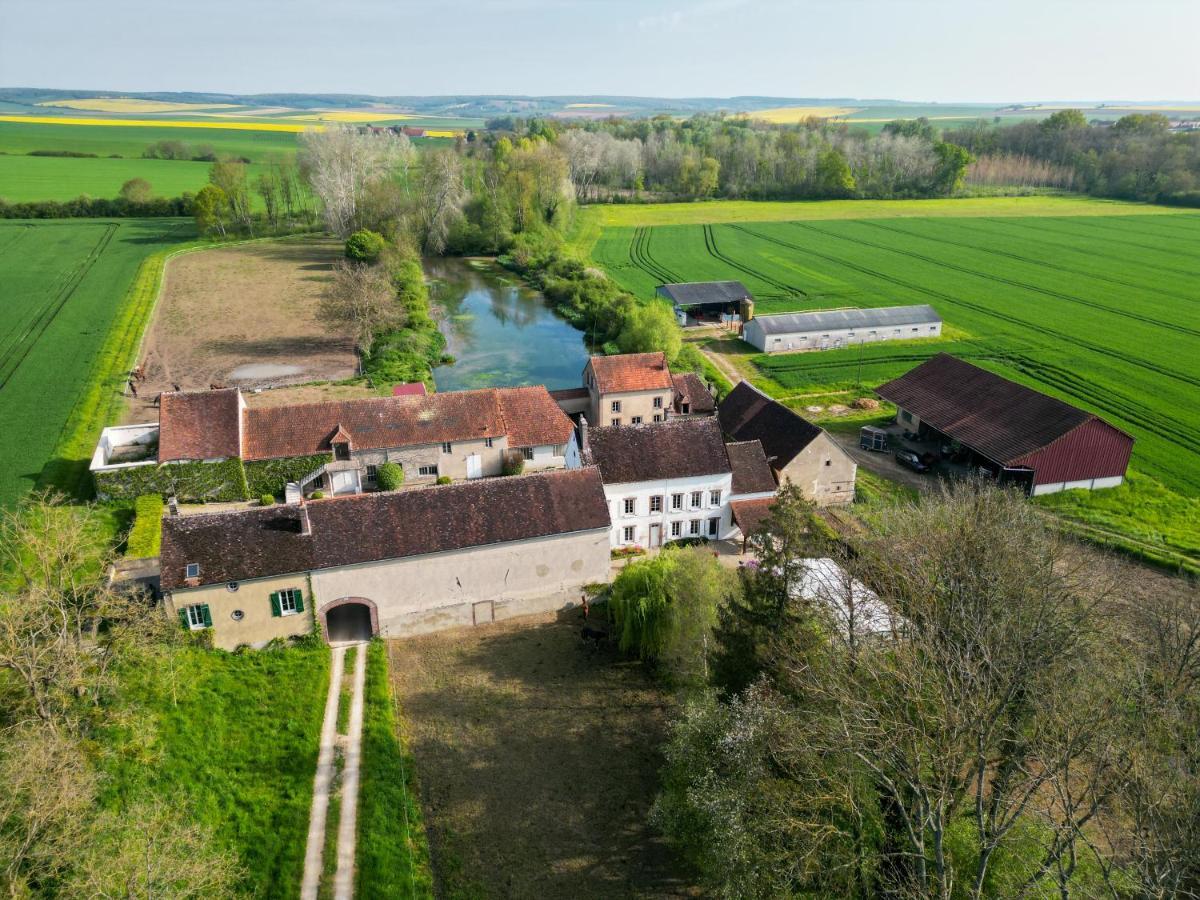 Le Moulin Neuf Villa Brienon-sur-Armançon Dış mekan fotoğraf