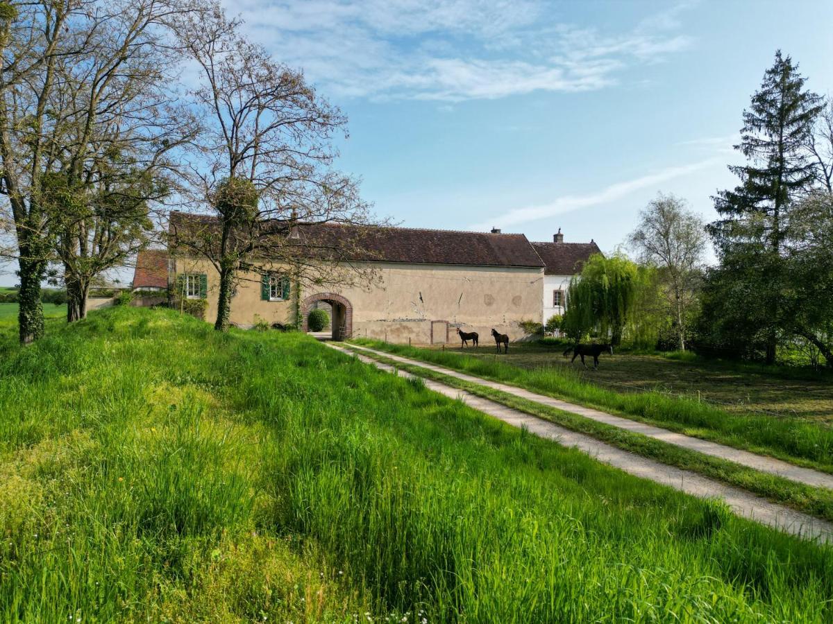 Le Moulin Neuf Villa Brienon-sur-Armançon Dış mekan fotoğraf