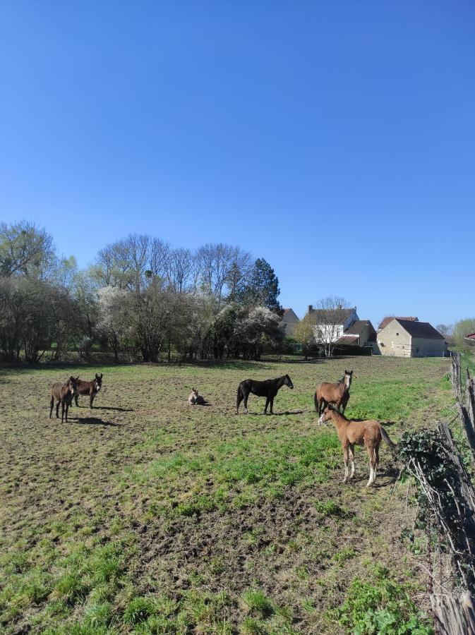Le Moulin Neuf Villa Brienon-sur-Armançon Dış mekan fotoğraf